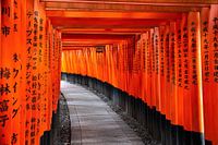 Fushimi-Inari-Schrein, Kyoto, Japan.
