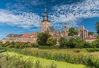 Swans at the skyline of Zutphen