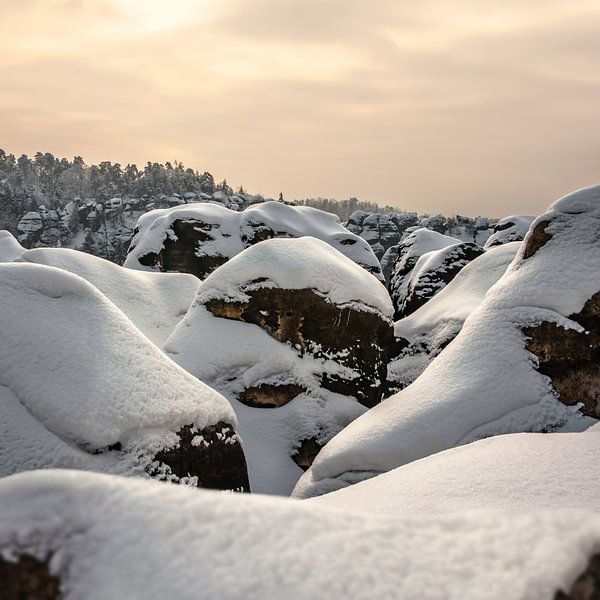 Carolafelsen in der Sächsischen Schweiz - Aussicht Richtung Zerborstener Stein von Pixelwerk
