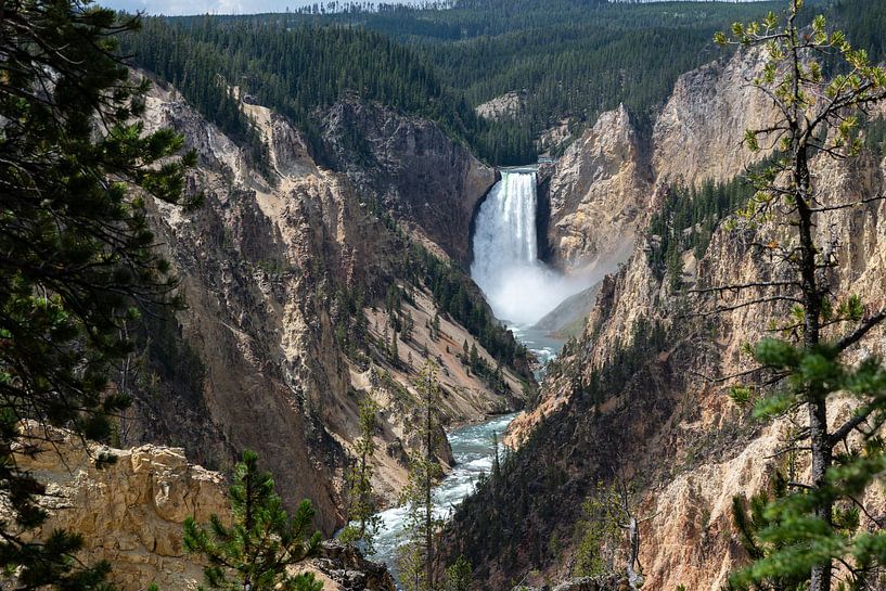 Natur vom Feinsten von Hans Vellekoop