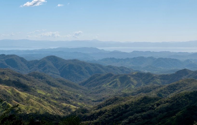 Costa Rica: Natuurgebied Sierra par Maarten Verhees