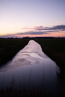 Trennung von zwei Weiden (Friesland)