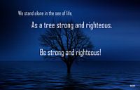 Inspiration "Righteous"