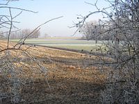 Velden in de vrieskou