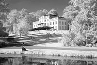 Niederländische Landschaft in der Infrarotfotografie
