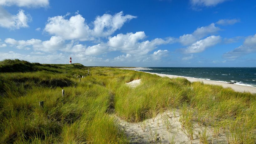 Magnifique panorama de Sylt avec le phare par Oliver Lahrem