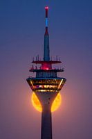 Tour du Rhin au clair de lune