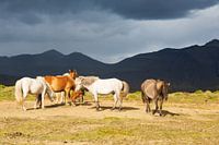 Icelanders for black mountains