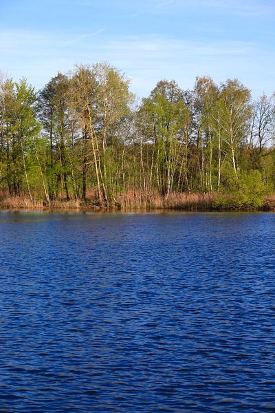 By the lake by Thomas Jäger