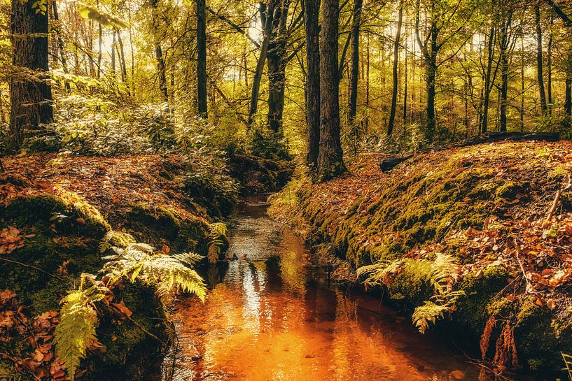 Autumnmood | Hof Espelo (4) by Rob van der Pijll