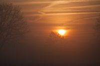 Zonsopkomst in de natuur
