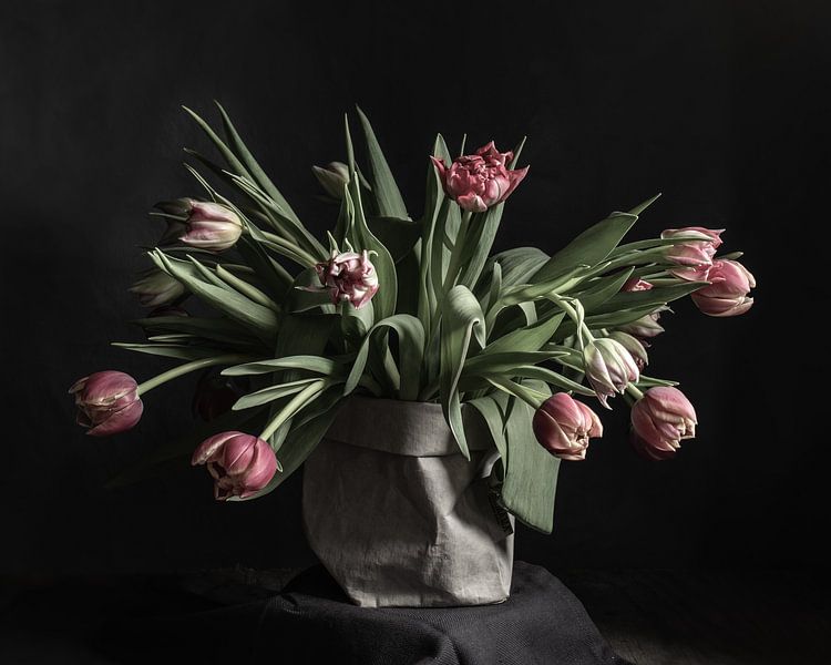 Tulpen in einer Papiervase | bildende Kunst Stillleben Farbfotografie | Wandkunst drucken von Nicole Colijn