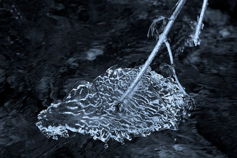 Eisskulptur im Liederbach | Taunus von Flatfield