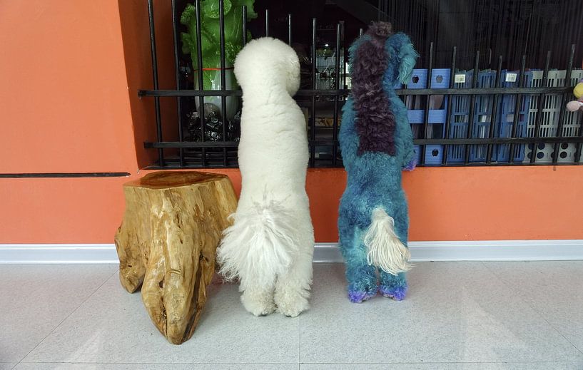 Blau und Weiß von Henri Berlize