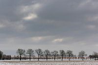 A snowy landscape under a wintery sky
