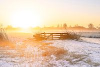 Rising sun over winter landscape