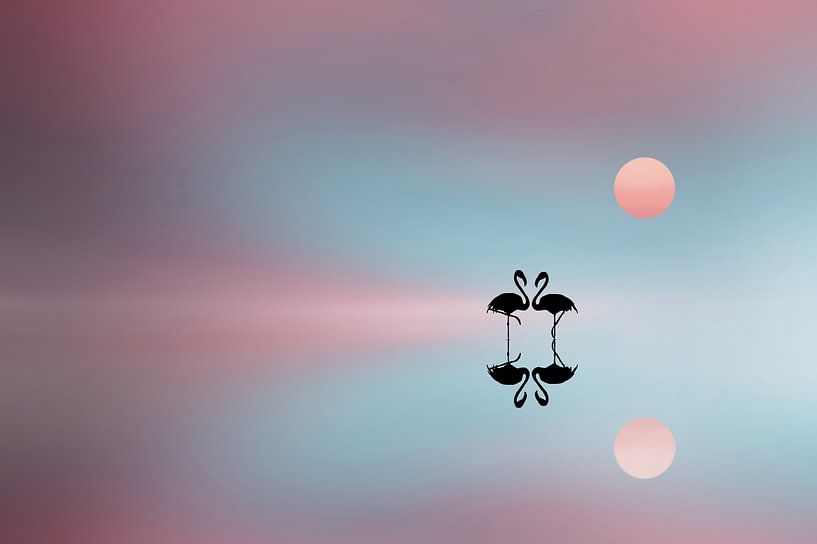 Flamant par Bess Hamiti