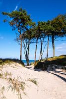 Ostsee - Weststrand auf dem Darß
