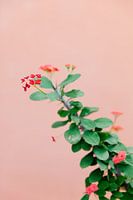 Bunter botanischer tropischer Blumenzweig