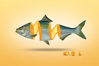 Orange Cutting Fish