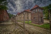 Der Wachturm und die Stacheldrahtzäune von Auschwitz