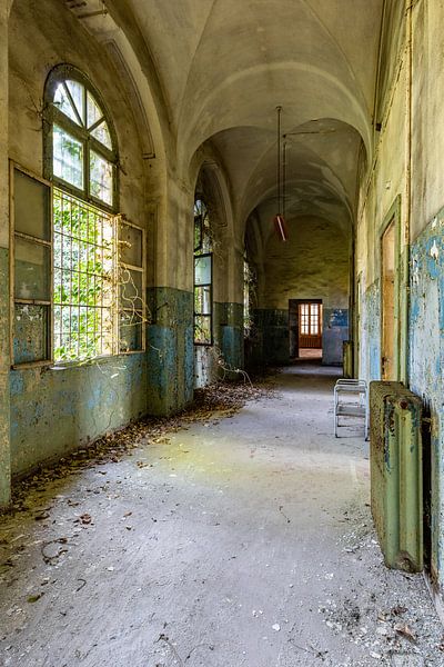 laufender Ast von William Linders