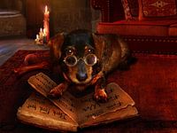 Le livre du langage des chiens