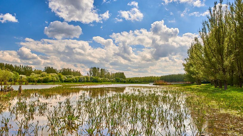 Large water feature in nature reserve Horsterwold by Jenco van Zalk