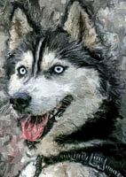 Husky-Malerei