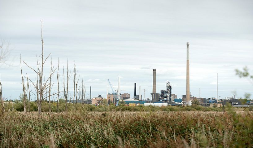 Kruibeke by Richard Wareham