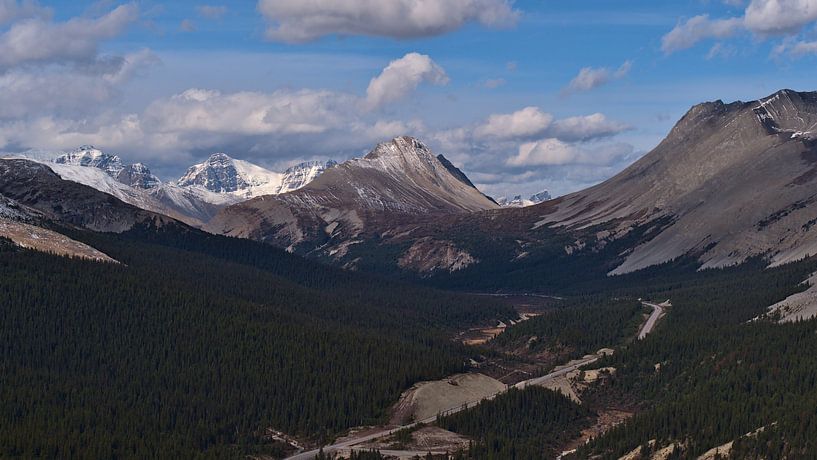 Panoramablick über den Icefields Parkway von Timon Schneider