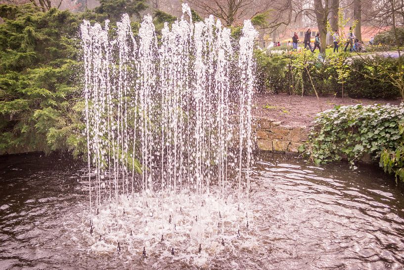 Waterfontein by C.T. Lam