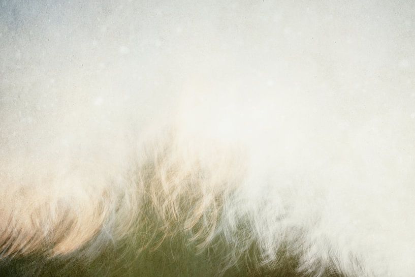 Minialistisches Kunstwerk von Bäumen in Bewegung von Imaginative