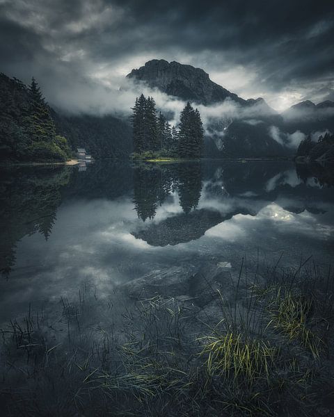 Félicité par Thomas de Franzoni