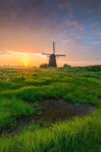 Feuchtwiese von Jan Koppelaar Fotografie