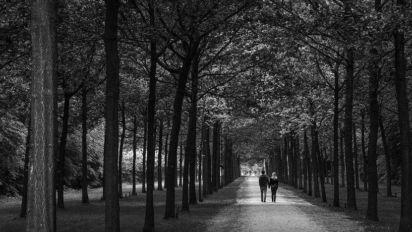 Lover's Lane von Bob Hartemink