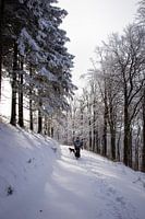 Sunny snow hike in Germany 1