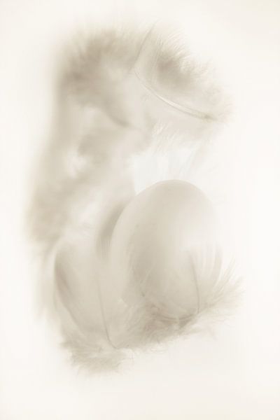 Hug by Dagmar Marina