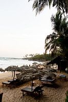 Sunset on a beach in Sri-Lanka