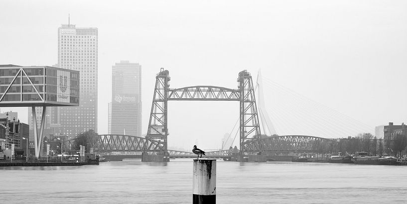 De Hef à Rotterdam par MS Fotografie | Marc van der Stelt