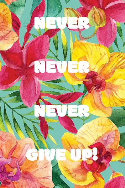 Niemals niemals aufgeben! von Creative texts