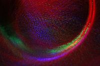 Regenboogkleuren passen zeker in modern  interieur