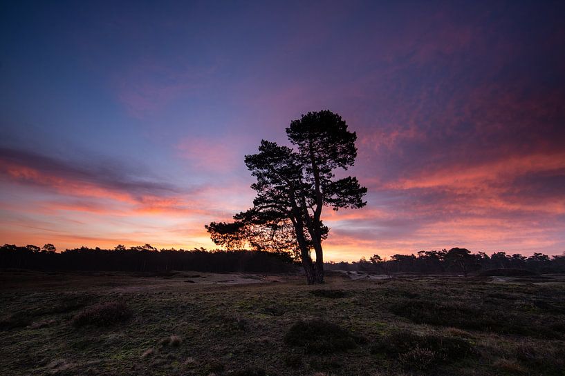 Sunrise Heidestein Driebergen Zeist by Peter Haastrecht, van