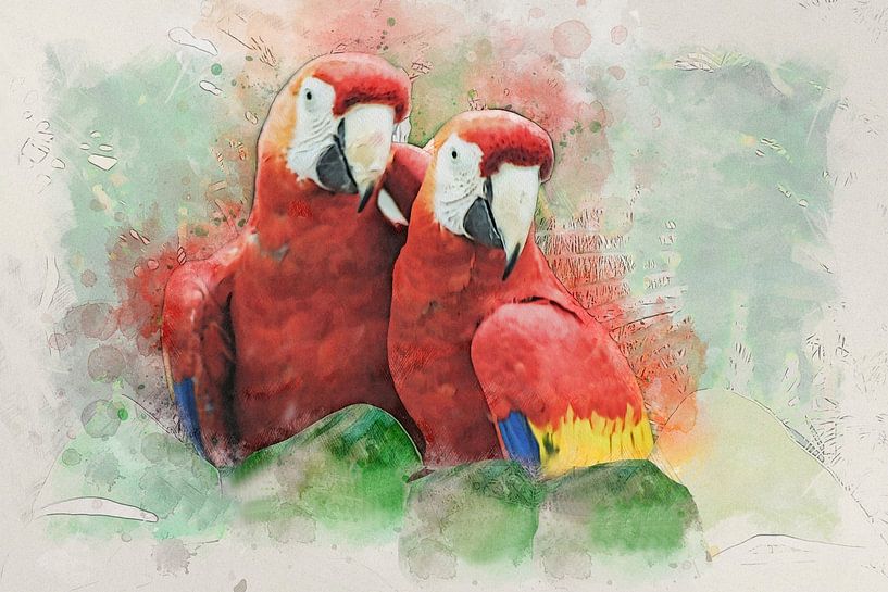 Ara von Bert Quaedvlieg