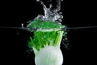 Mega belle touche de fenouil