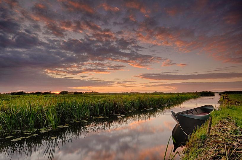 Punter by John Leeninga