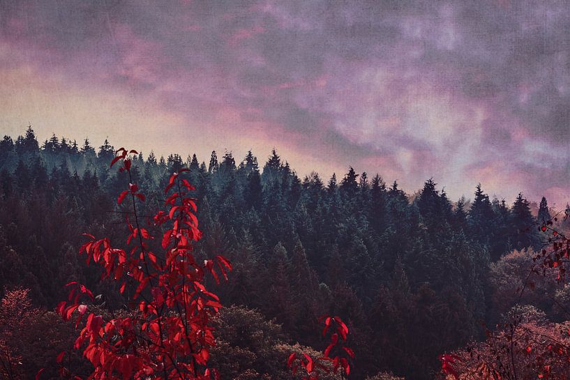 A Dream Away - la forêt au soir d'automne par Dirk Wüstenhagen