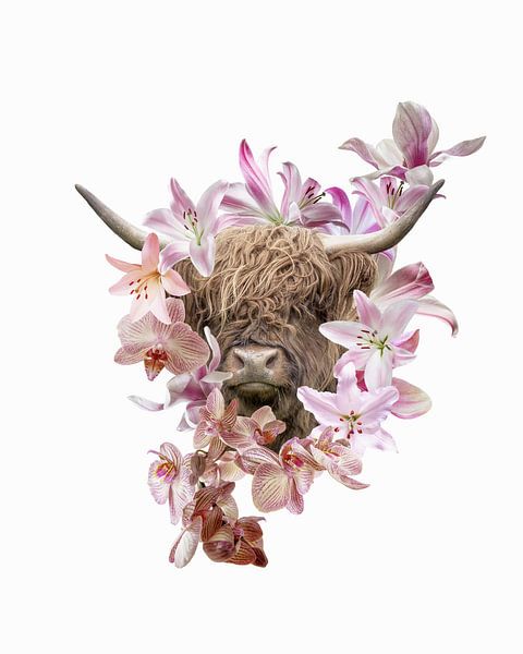 Schottischer Highlander von Esther Wijntje