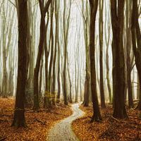 L'hiver approche à grands pas