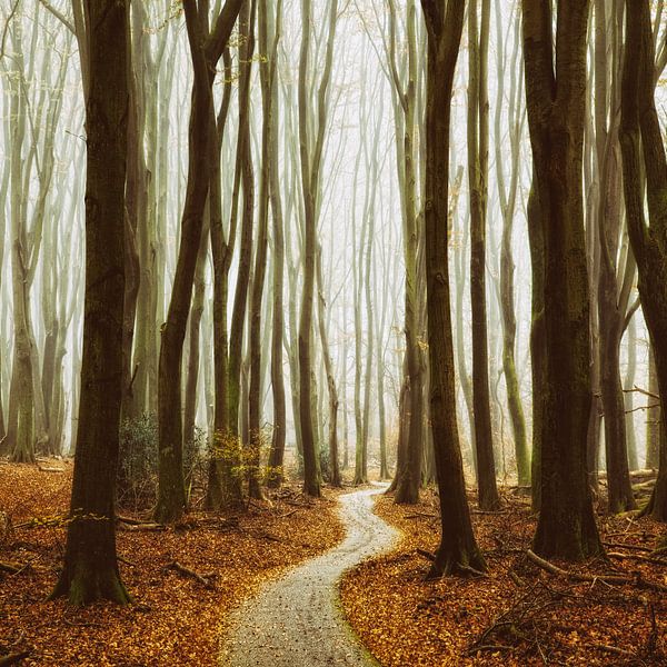 L'hiver approche à grands pas par LJB Anders